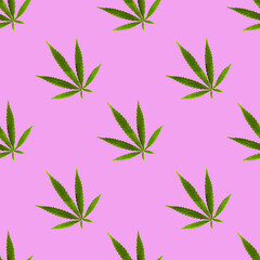 cannabis marijuana seamless pattern on pure purple background	