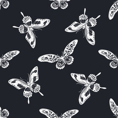 Seamless pattern with hand drawn chalk african giant swallowtail, papilio torquatus