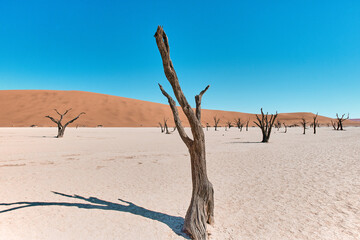 Amazing landscape in Namibia, Africa