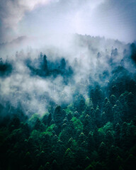 Photo of mountains in the fog in a classic style.