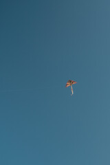 Flying kite on the blue sky. Copy space.