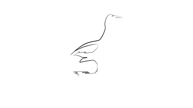 Heron drawn with one line. Black line animation on white background