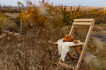 Autumn composition of sweet persimmon fruit of the Korolyok variety, in a wooden plate with dry inflorescences on a wooden stool with a piece of burlap fabric. In the background, autumn colors of tree
