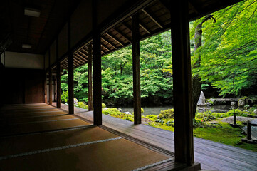 池と庭園