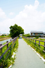 秋篠川遊歩道