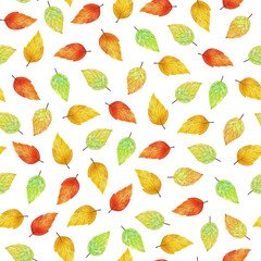 Hand drawn seamless pattern of collection yellow, green, red, orange leaves. Floral decorative colorful autumn watercolor illustration for design card, invitation, wallpaper, wrapping paper, fabric