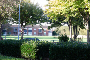 Autumn trees and road overlooking a field