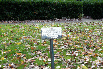 Parking sign sitting in a parking spot