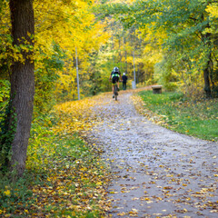 Herbst am Radweg Gehweg Wandern und Laufen im Herbst mit gelben Blättern Laub