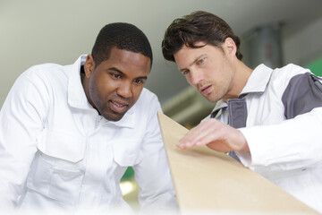 Obraz premium two craftsmen working in team and cutting wood