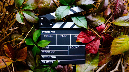  Wooden movie clapboard in frame of colorful autumn leaves.