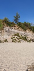 wysoka nadmorska wydma porośnięta zieloną roslinnością