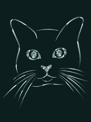 Mosaic of a funny cat's head