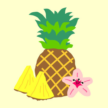 Pineapple and flower, hand drawn vector illustration