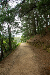 Obraz premium Walking trail through the bushes around the Lake Daylesford, Victoria, Australia