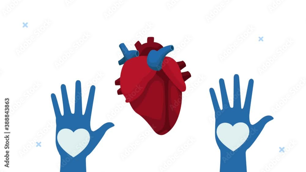 Canvas Prints world heart day animation with hands up silhouette and organ