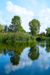 Fototapeta na wymiar Spiegelung in einem See im Naturschutzgebiet Zuwachs-Külzauer Forst bei Magdeburg