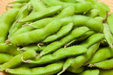 枝豆