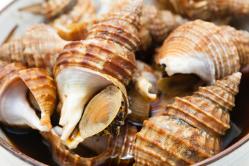 つぶ貝の醤油煮