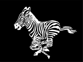 Vector zebra running isolated on black background, illustration for logo and design