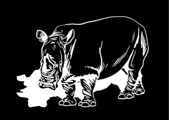 Vector rhinoceros isolated on black background, vector illustration