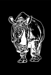 Vector rhinoceros isolated on black background, vector illustration