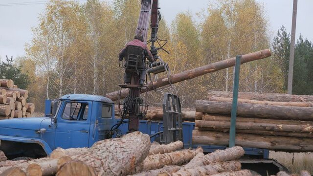 Unloading of wood with a front loader. Construction material, logs, and woodcut in the process of unloading. Raw material of wood for the sawmill. Building timber. The driver controls the hydraulic cr