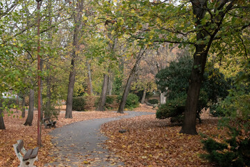 park, autumn, forest, walk, road, nature