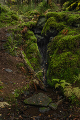 Fototapeta na wymiar Waterfall near Utersky creek in deep forest in autumn color day