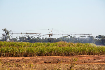 Sugarcane field with a fertilizer and irrigation machine system for the sugarcane plants in Brazil.