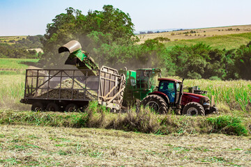 Fototapeta premium Barra Bonita/SãoPaulo/Brasil-05/02/2020: Sugar cane harvesting machine working.