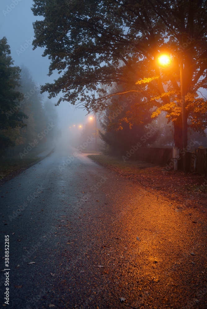 Wall mural An empty illuminated country asphalt road through the trees and village in a fog on a rainy autumn day, street lanterns close-up, red light. Road trip, transportation, communications, driving