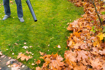 Autumn green lawn cleaning with an electric cordless blower