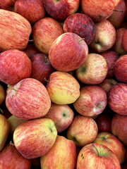 Red juicy ripe apples. Autumn harvest fruit background. Vertical shot