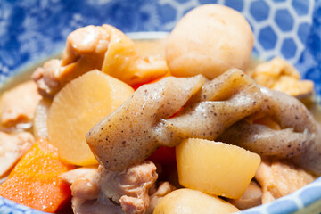 鳥肉と野菜の煮物