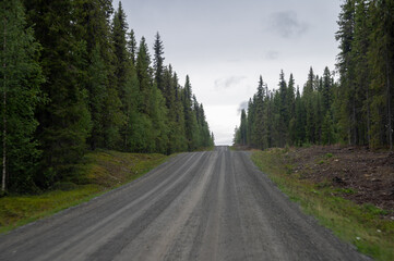 Dirtroad through the forest in Sweden