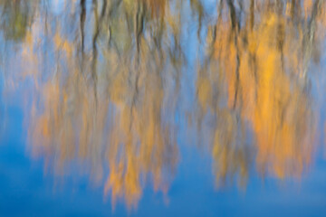 Abstract blurred reflection of trees in water