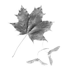 Realistic maple leaf vector silhouette in dotted vintage style. Isolated botanical elements for retro graphic design
