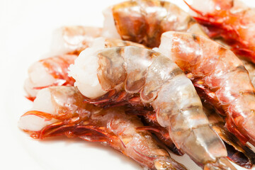 ブラックタイガー