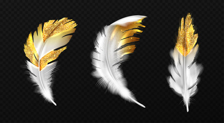 White feathers with gold glitter on edges, boho style birds plumage or hackles with golden sparks, trendy design elements isolated on black background, Realistic 3d vector illustration, icons set © klyaksun