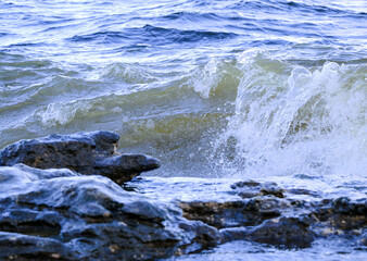 waves run onto the shore and crash against the rocks, creating many splashes and splashes near the shore. river surf in stormy weather near a stone pebble coast with foamy splashing waves.