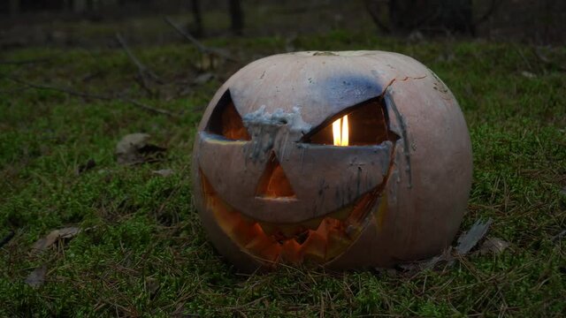 Pumpkin in the forest. With the candles inside. Smoke from the right side. Halloween in fog
