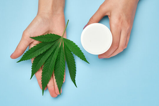 Close up woman hands holding a package with cream and marijuana leaf on the blue background.