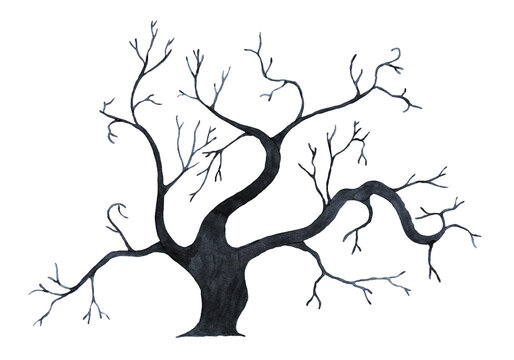 Tree silhouette, watercolor
