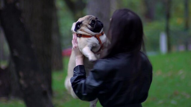 Young girl is playing with a pug in the city park