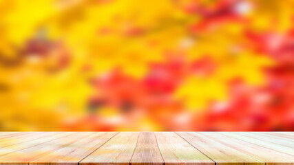 autumn season & color tree background blurred
thanksgiving
for concept