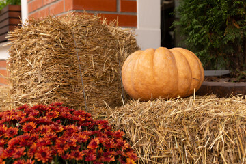 Halloween decorations, big pumpkin sheaves of hay and flowers