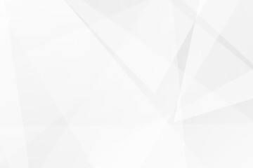 Abstract white and grey on light silver background modern design. Vector illustration EPS 10.