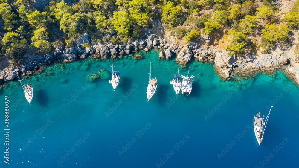 Wall mural sail yachts data on the anchor close to rock shore with green forest