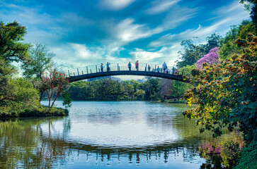 bridge over the lake in the park